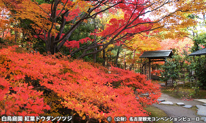 白鳥庭園