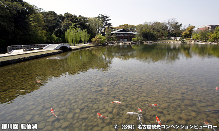 龍仙湖