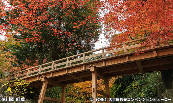 徳川園