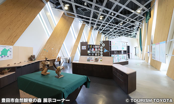 豊田市自然観察の森 展示コーナー