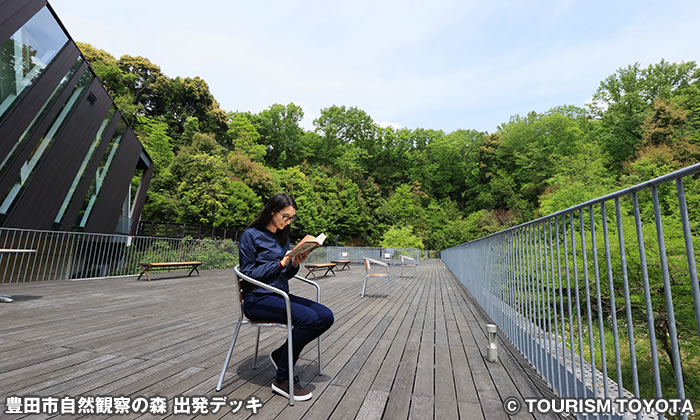 豊田市自然観察の森 出発デッキ