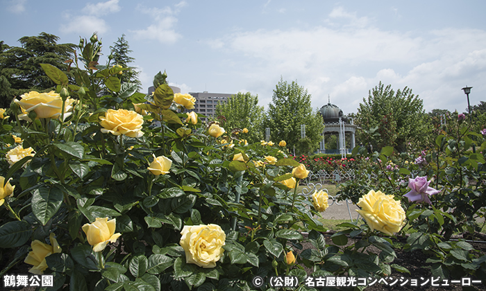 鶴舞公園