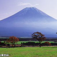 朝霧高原