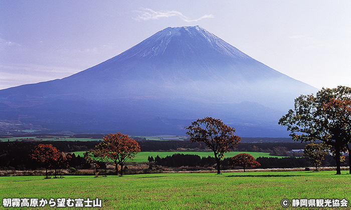 朝霧高原