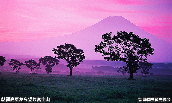 朝霧高原