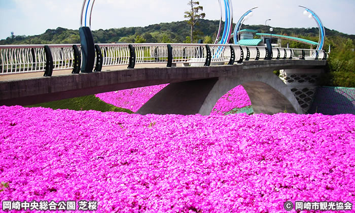 岡崎中央総合公園