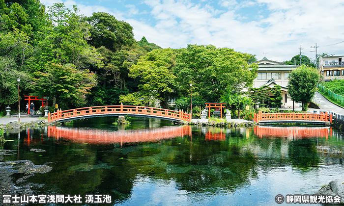 湧玉池 国指定特別天然記念物