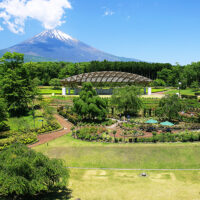 富士山樹空の森