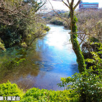 柿田川公園