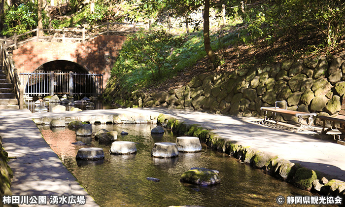 柿田川公園