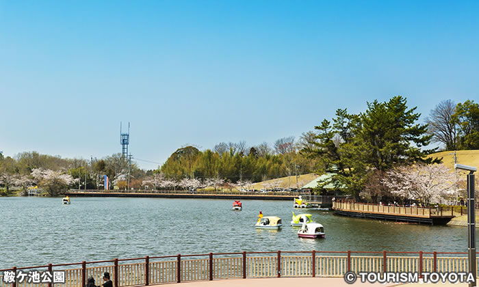 鞍ケ池公園