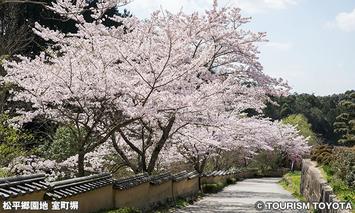 松平郷園地