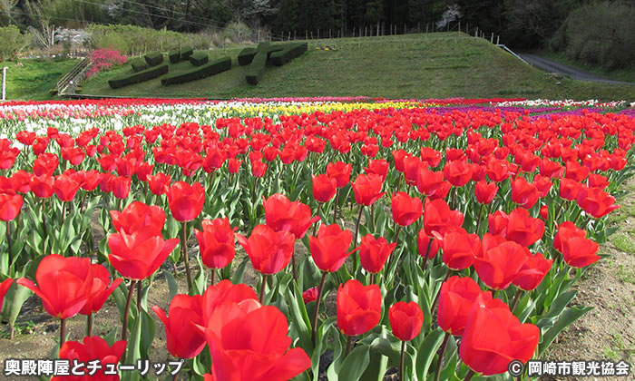 奥殿陣屋