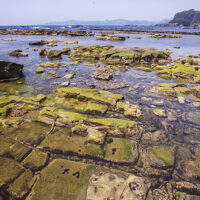 恵比須島