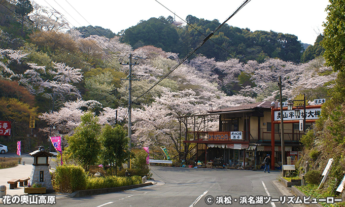 花の奥山高原