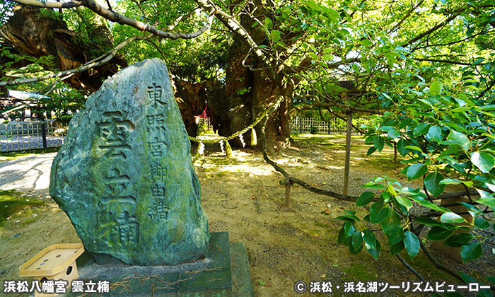 浜松八幡宮