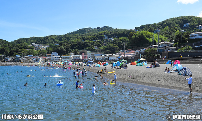 川奈いるか浜公園