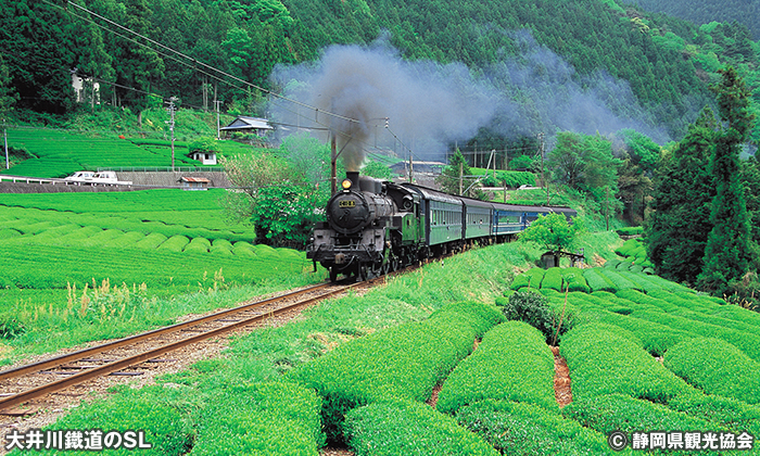 大井川鐵道のSL