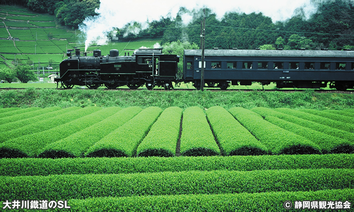 大井川鐵道のSL