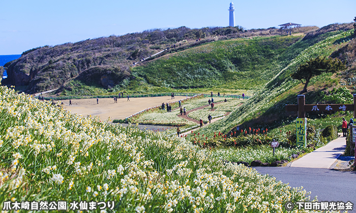 爪木崎自然公園