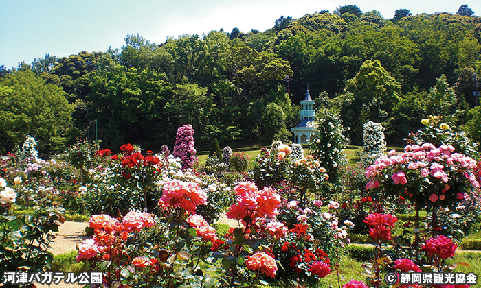 河津バガテル公園