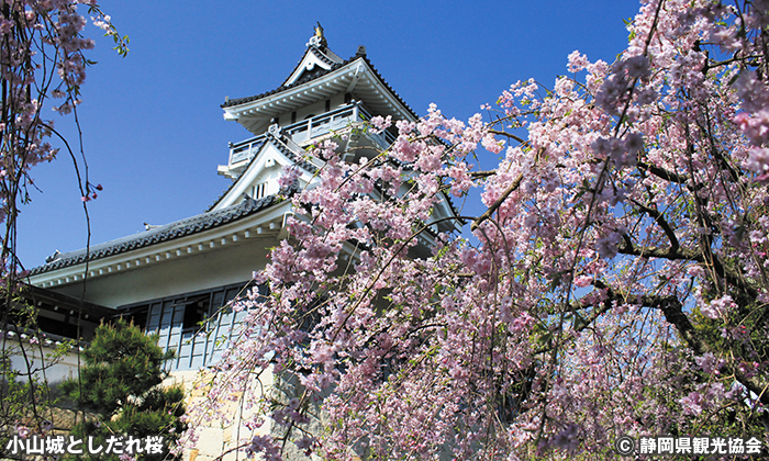 展望台小山城