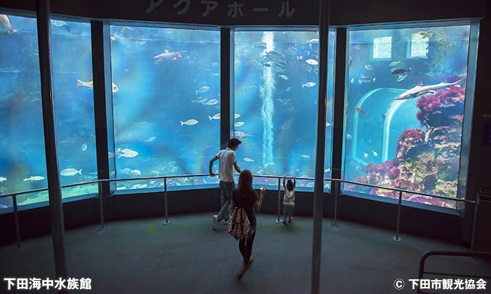 下田海中水族館