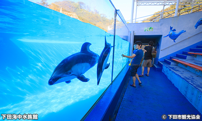 下田海中水族館