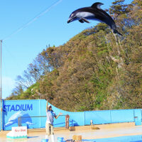 下田海中水族館