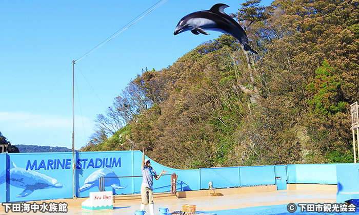 下田海中水族館