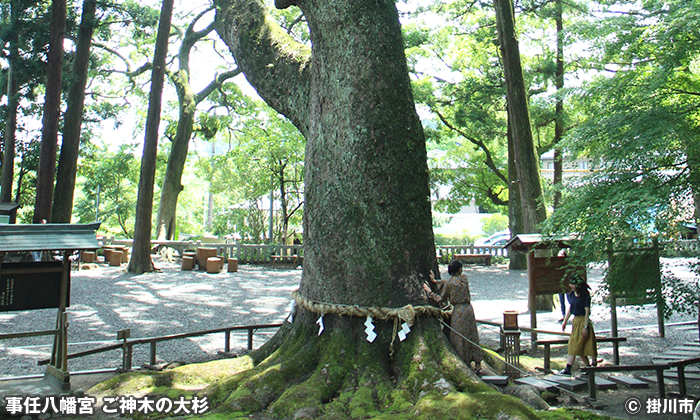 事任八幡宮