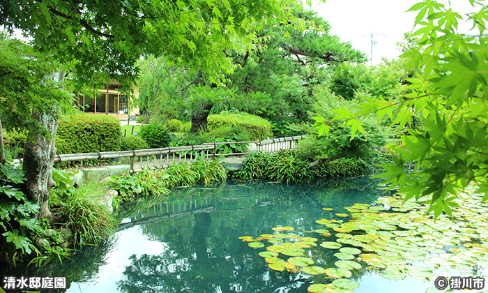 清水邸庭園