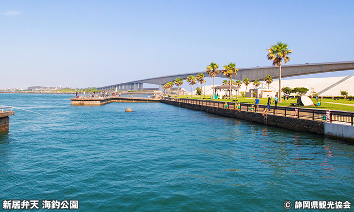 新居弁天 海釣公園