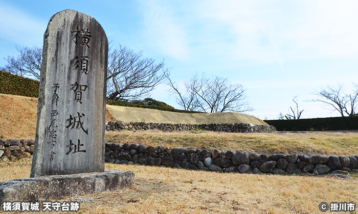 横須賀城跡