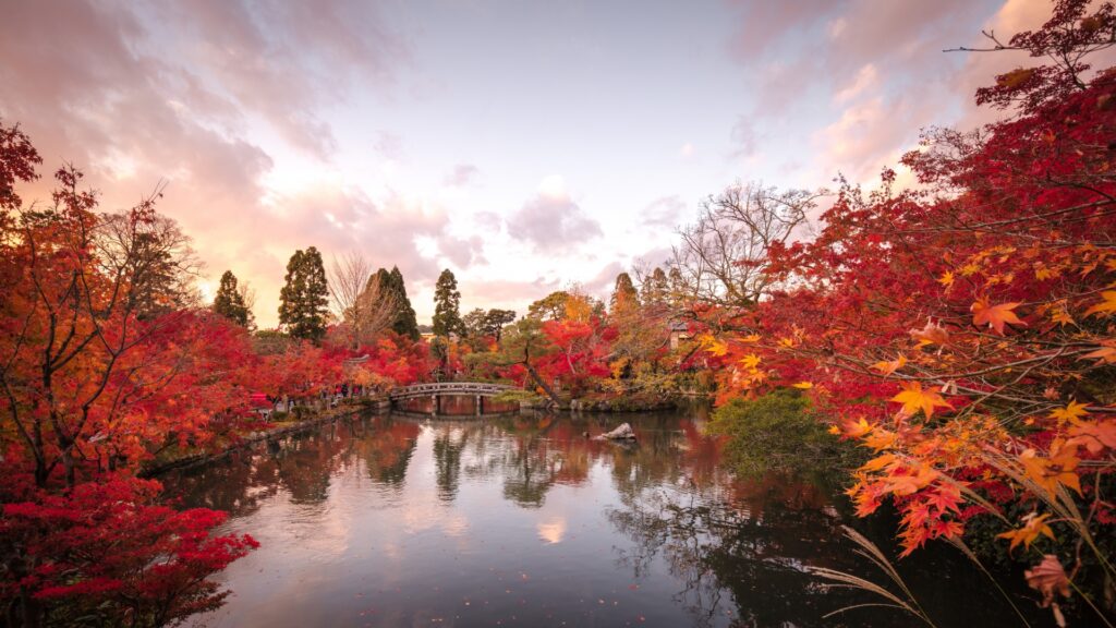 kyoto autumn leaves