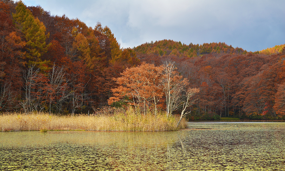 桧原湖周辺の沼